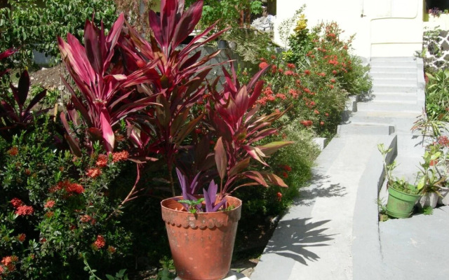 Casa Del Vega