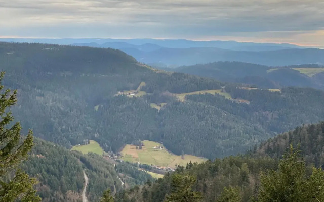 Schwarzwald Wohnung Kniebis