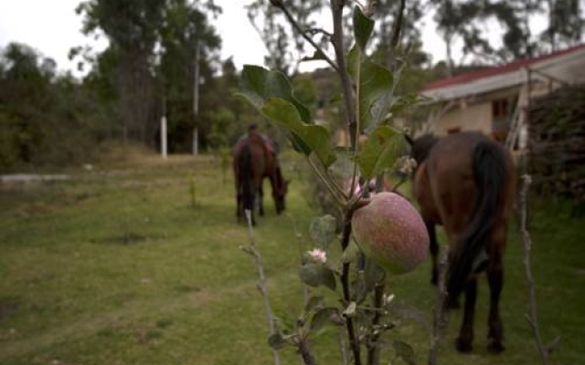 Reencuentro Rancho & Eco-Hotel