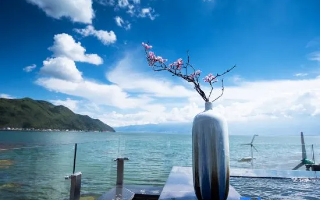 Sea Lily Sea View lnn