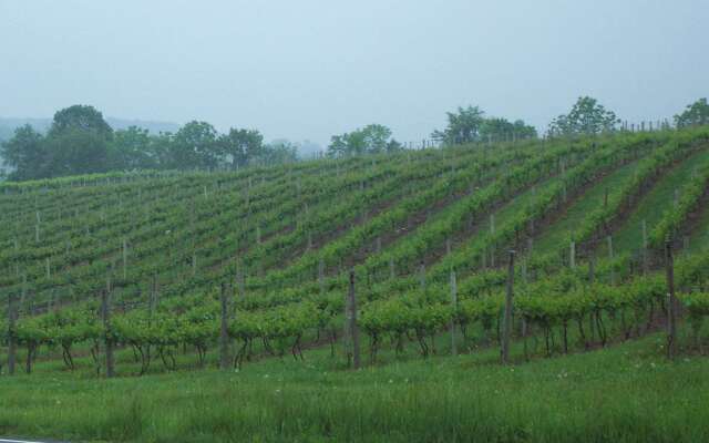 Hampton Inn Danville