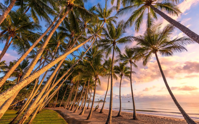 Drift Palm Cove