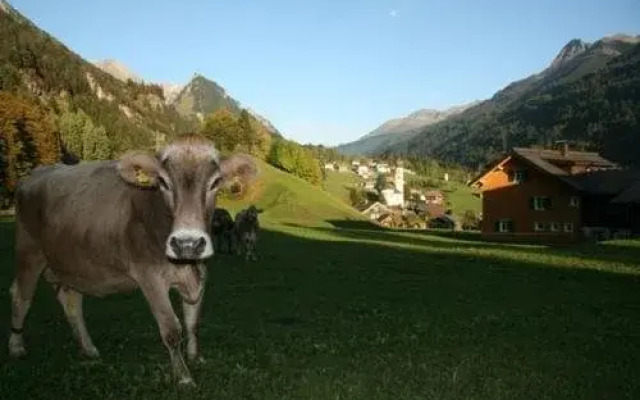 Familie Gantner Johannes und Berta