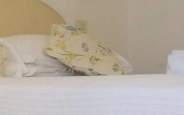 Hotel Pinocchio
