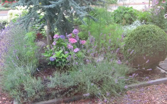 B&B Bed en Brochje Hoogland