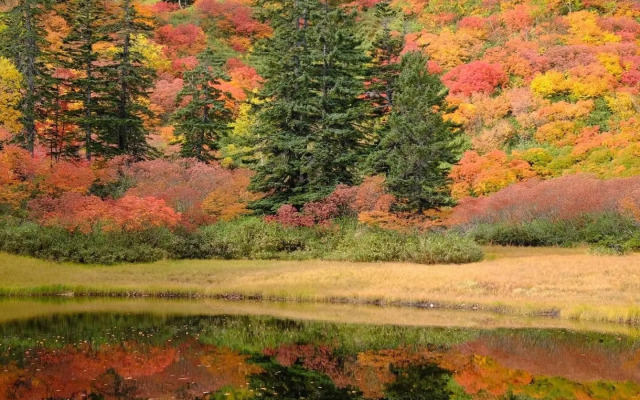 ととのうプレース