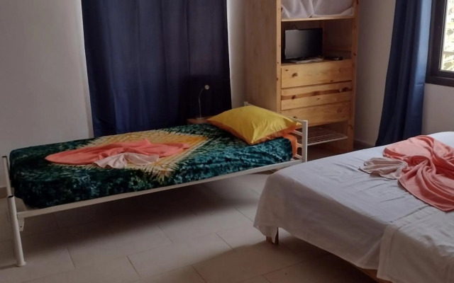 Real Owl Guest House