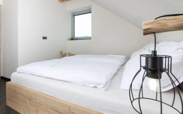 Apartment in Moravia Near Ostrava Town