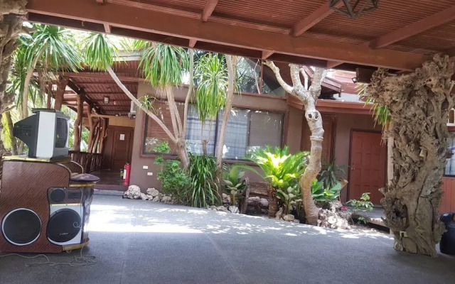 The Pelicans Castaway