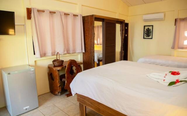 Jungle Lodge at Wild Sun Rescue