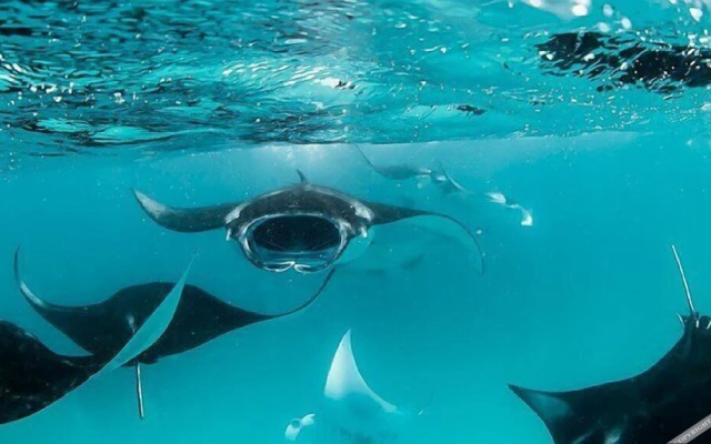 Mandhoo Guesthouse & Dive
