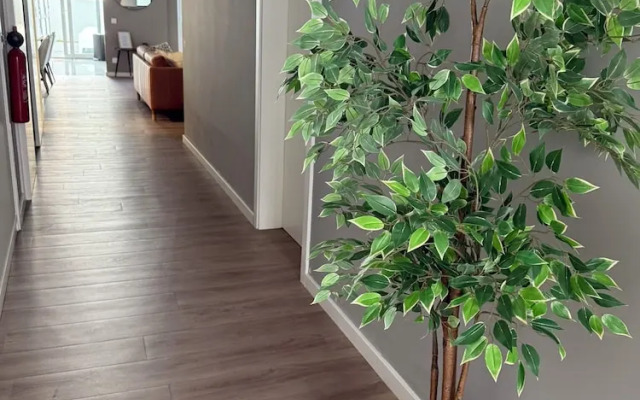 Vera Cruz Guesthouse