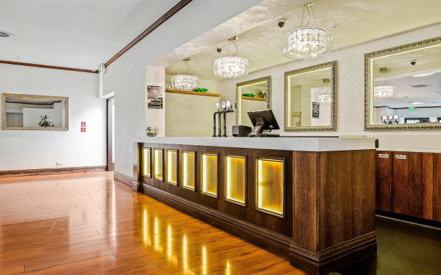 Hotel Elms Christchurch, an Ascend Collection Hotel