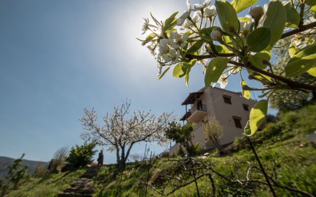 Aori Hillside Villa