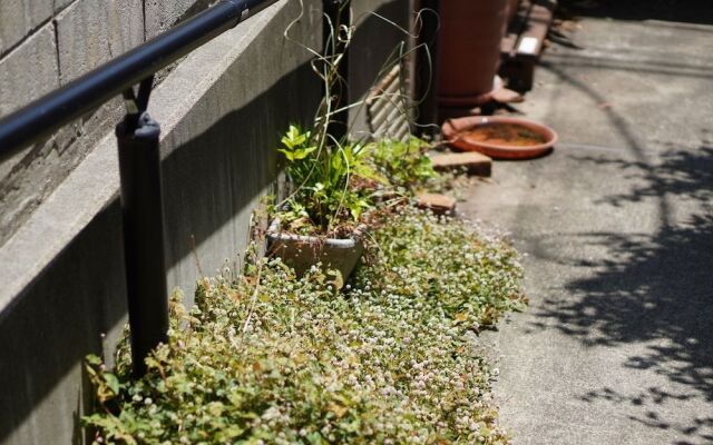 Shimokitazawa Akima