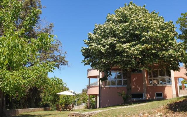 Apartments Seafront Villa