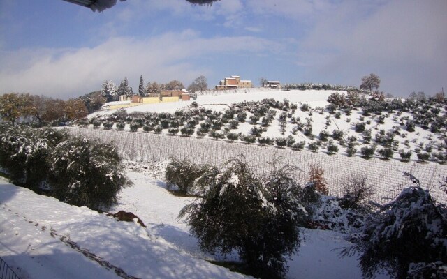 "podere Caldaruccio La Pineta - Torretta"