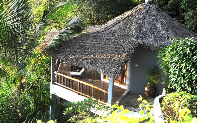 The Jungle Club