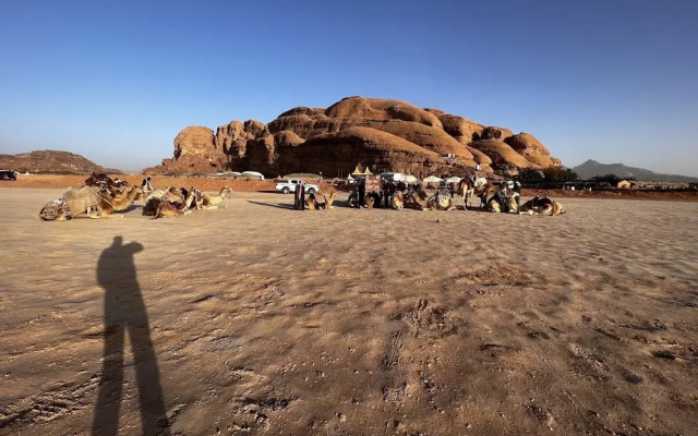 Rum Oasis Luxury Camp