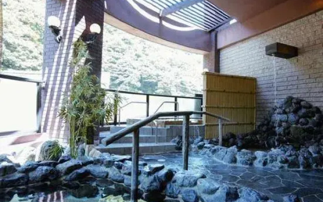 Hotel de Marronnier Yunoyama-Onsen
