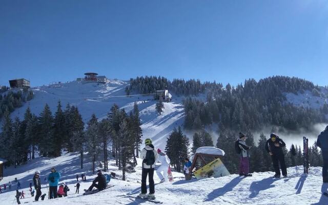 Traveland Poiana Brasov