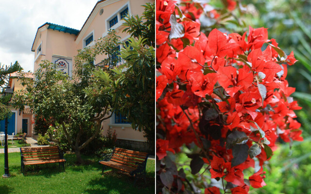 Vieja Cuba Hotel