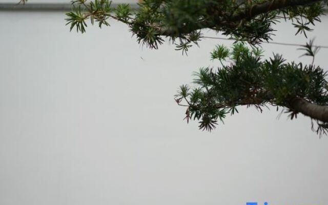 Wuyi Mountain Yuewuyi Tea Life Aesthetics Hotel