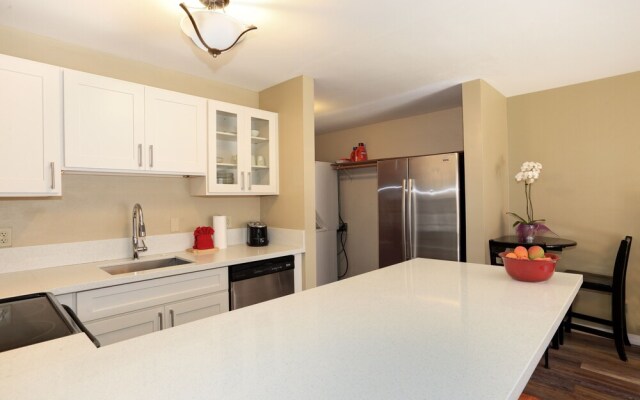 King of the Mountain - 2 Br Condo