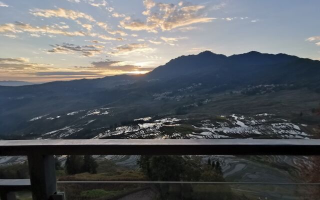 Plants and Flowers.YSTS