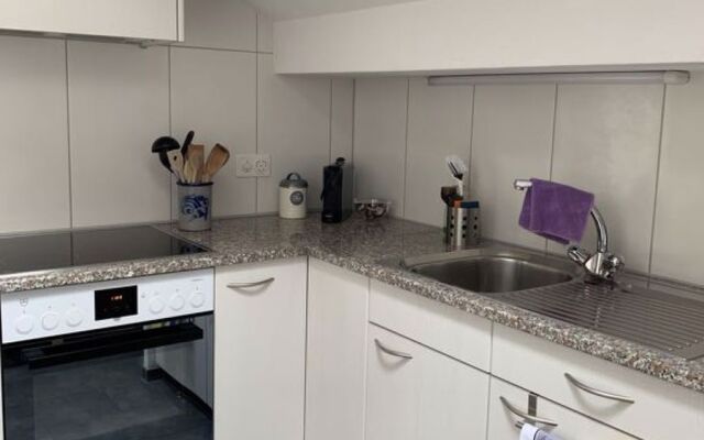 Apartment Hari Adelboden