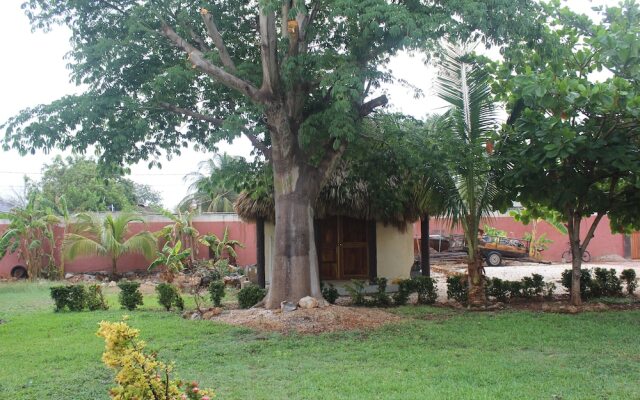 Mangrove King Fishing Lodge