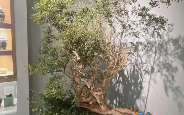 Taoshe Resort Hotel (Jingdezhen China Ceramics Museum Ancient Kiln Branch)