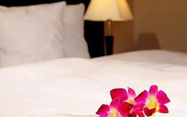 Hotel Kudowa Manufaktura Relaksu