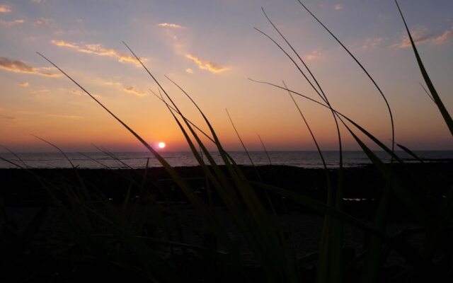 Sunset Serenity