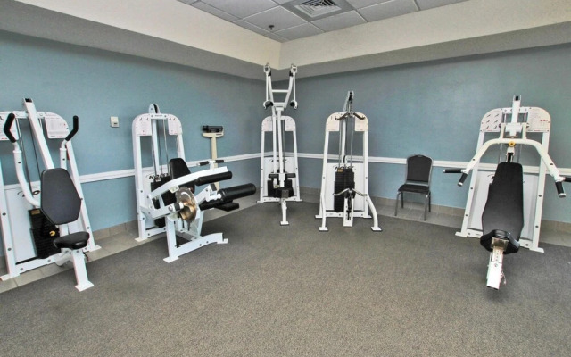 Phoenix V1008 by Youngs Suncoast