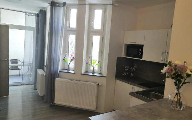 Modern apartments Brno-center