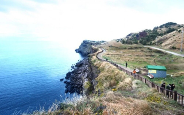 Seogwipo Hyeongjebawibada Pension