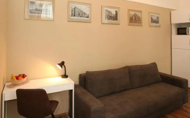 Apartments Vienna Opera - Apartment in Viyana - Photo 4