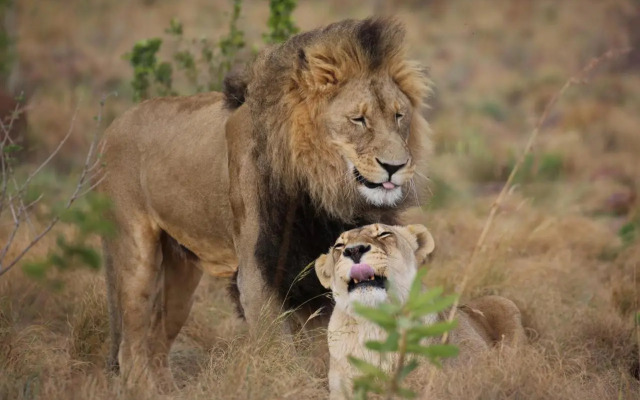 Shakama Private Game Lodge & Spa