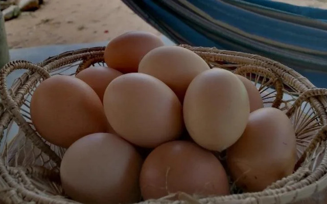 Giron Chill Out Hotel Boutique