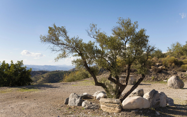 Bed & Breakfast Al Campanario