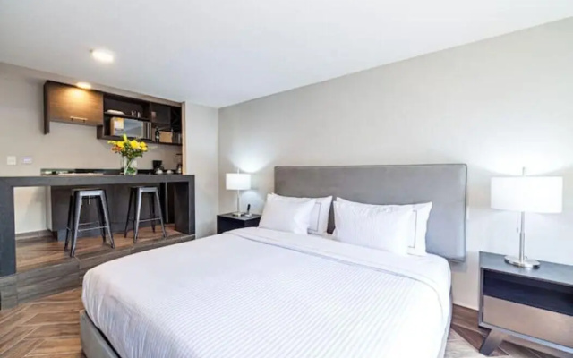 Pent House Masaryk 17