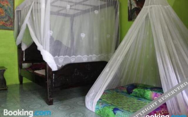 Rain Forest Guest House