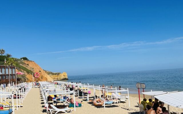 Mar CIP