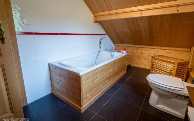 Le Quartz Des Hautes-Vosges