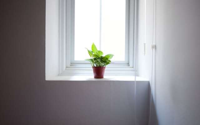 Leo 111 - Arena Ruifeng