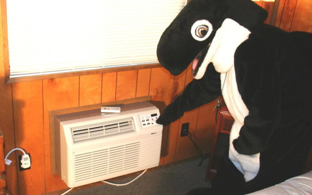 The Orca Inn