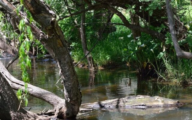 Brownhill Creek Tourist Park