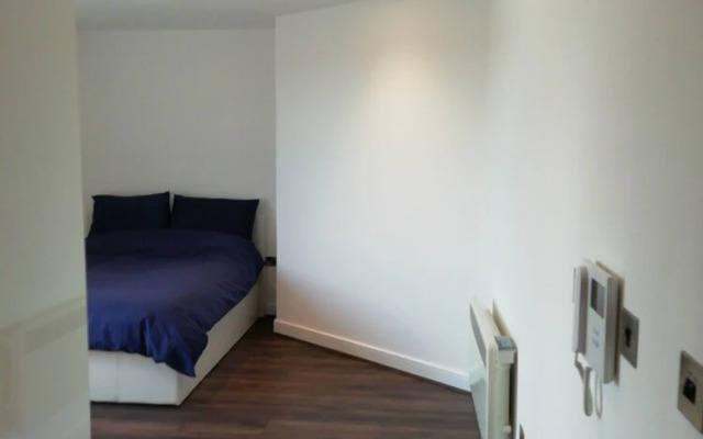 Luxury One Bedroom Apartment