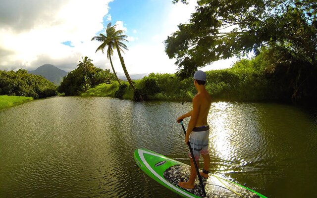 Sealodge J2 - 1 Br Condo